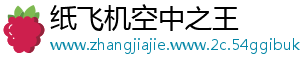 纸飞机空中之王